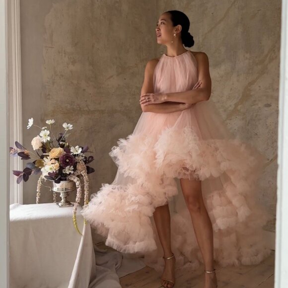 MAC DUGGAL 68252 Light Pink Tulle High Neck Sleeveless Ruffled Hem Hi-Low Gown - Picture 1 of 16